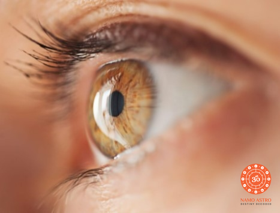 Know your future according to the structure of your eye and eyebrow!
