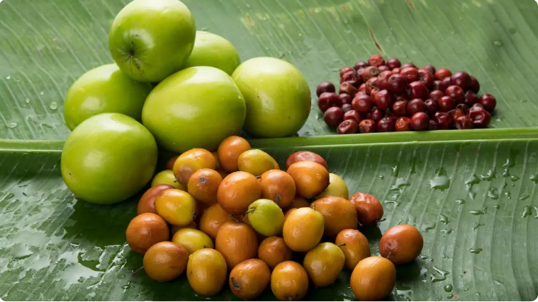 Why Do We Not Eat Jujube Before Saraswati Puja? - Namoastro