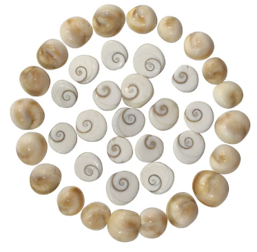 Gomti Chakras