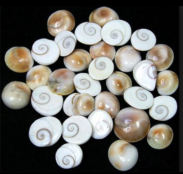 Top 5 Remedies of Using Gomti Chakras