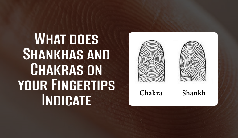 What do the Shankhas and Chakras on your fingertips indicate