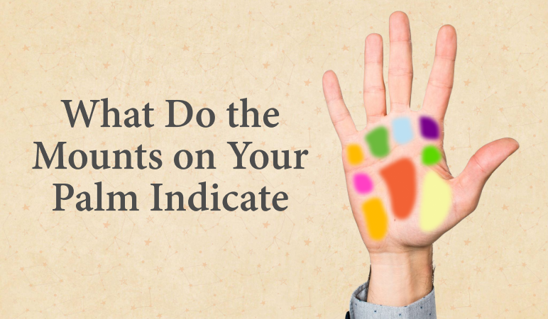 What do the mounts on your palm indicate