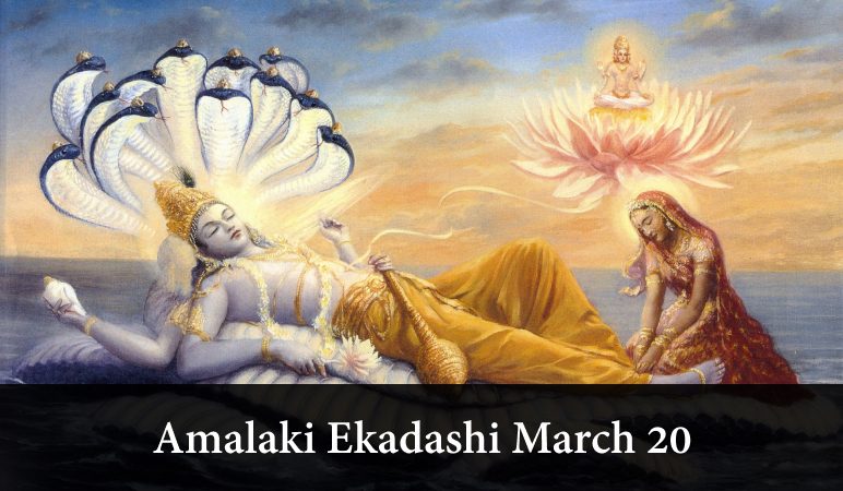 Amalaki Ekadashi