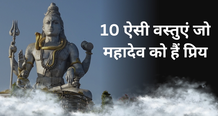 10 Things that Shiva Loves